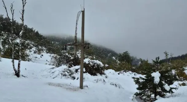 Vanredno stanje na jugu Srbije: Snijeg izazvao velike štete, sela bez struje danima